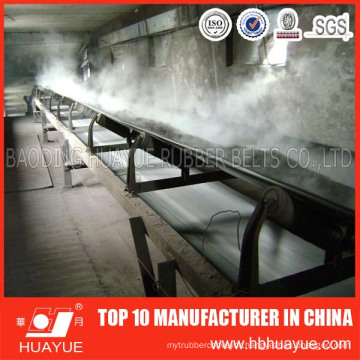 Ep Conveyor Belt for High Temperature Environment